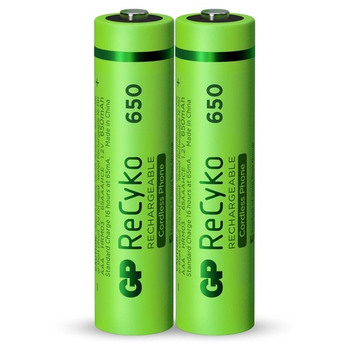 Rechargeable battery AAA