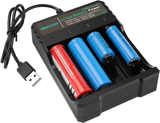 [10002] USB Battery Charger
